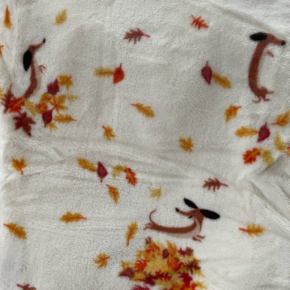 Dachshund throw blanket perfect for fall weather and decor - Picture 7 of 8